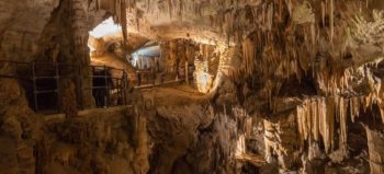 Visiter la grotte de Postojna