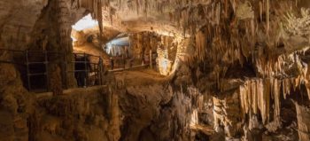 Visiter la grotte de Postojna