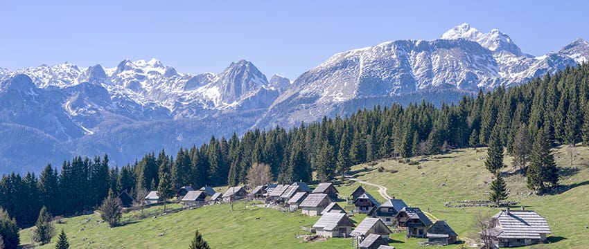 plateau pokljuka