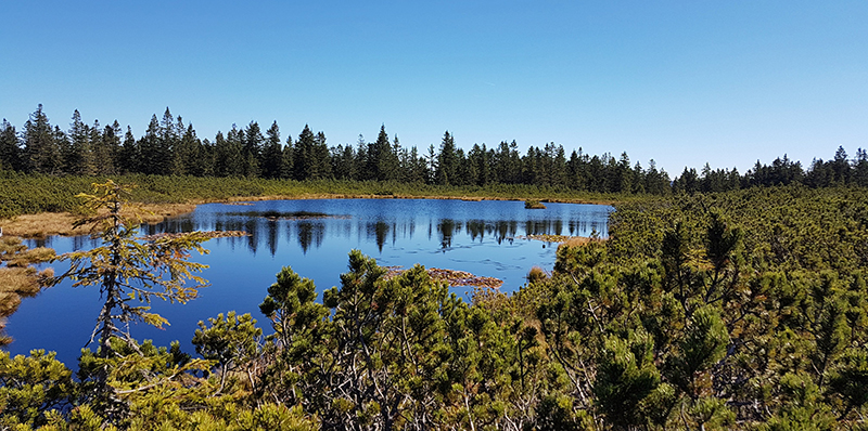 Lac pohorje