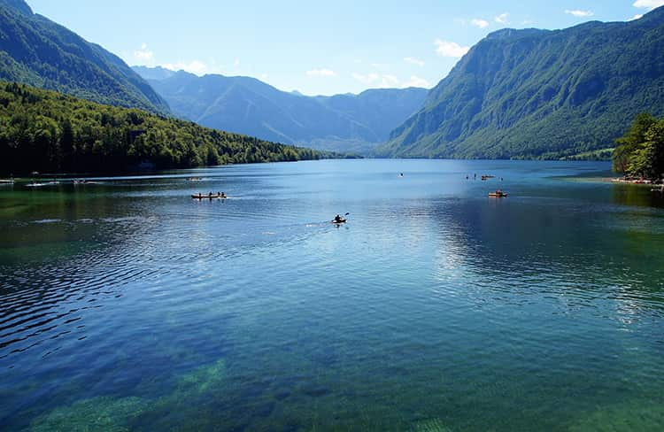 Rive bohinj