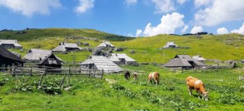 Velika Planina, le plus beau plateau alpin d’Europe