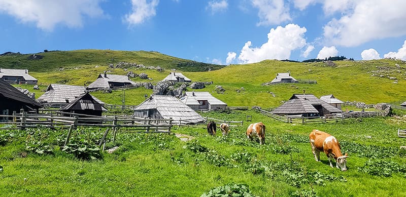 Village de bergers