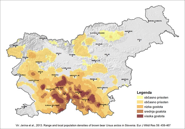 Tout savoir sur l’ours slovène 3 Densité population de l'ours brun en Slovénie