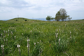 Collines de Savnik