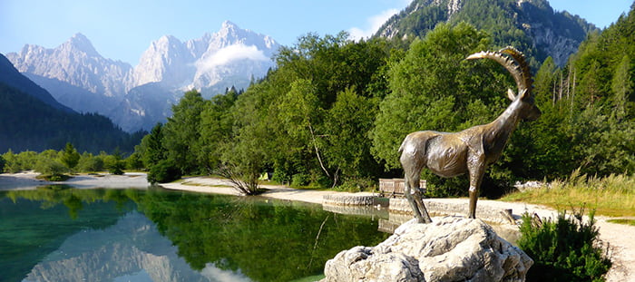 Zlatorog, le chamois blanc aux cornes d’or 2 stature zlatorog