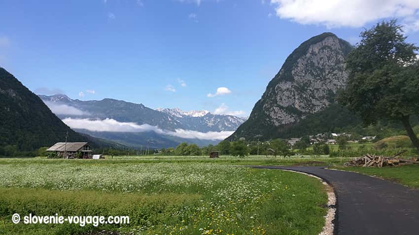 vallée bohinj
