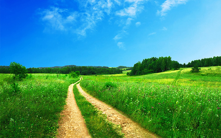 vallee printemps