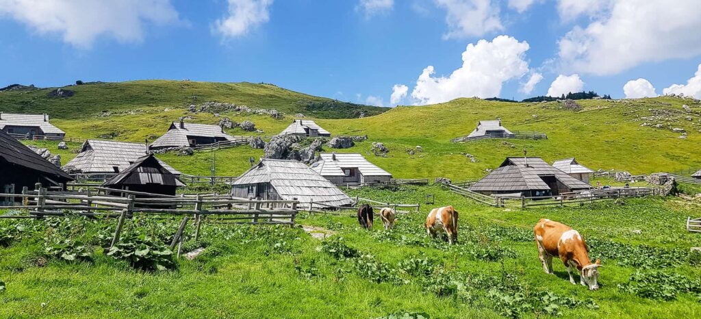Velika Planina