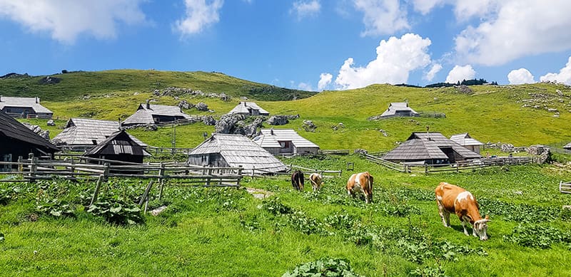 Velika Planina, le plus beau plateau alpin d’Europe 2 village de berger en slovénie