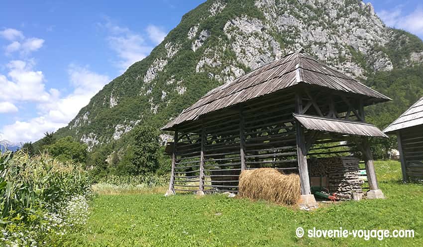 foin lac de bohinj